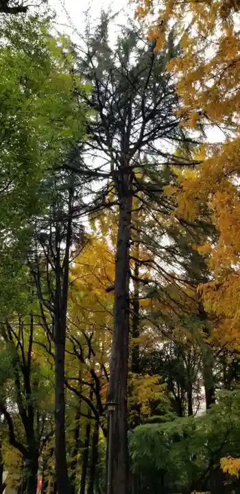増上寺塔頭 三縁山 宝珠院の周辺