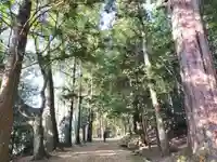 質美八幡宮(京都府)