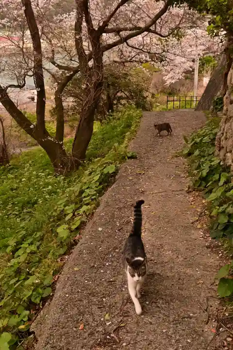 瑞龍寺(沖浦観音)(愛媛県)