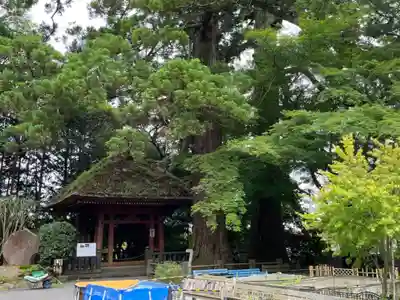 宝城坊(神奈川県)