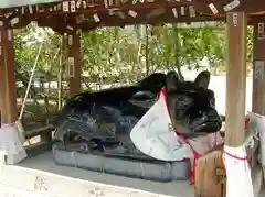 北野天満宮の狛犬