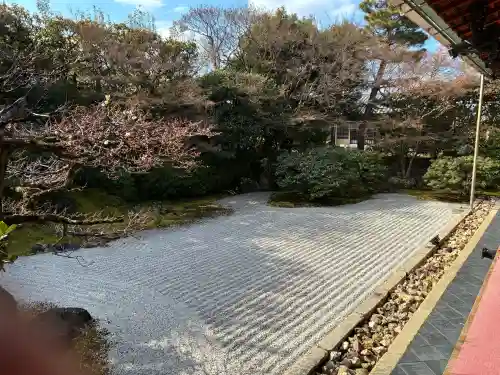 圓徳院の{uncategorized: "未分類", other: "その他", undefined: "問題あり", building: "その他建物", grave: "お墓", sacred_gate: "鳥居", guardian: "狛犬", statue: "像", buddha: "仏像", history: "歴史", nature: "自然", garden: "庭園", animal: "動物", pagoda: "塔", temizu: "手水舎", mountain_gate: "山門・神門", sanctuary: "本殿・本堂", subordinate: "末社・摂社", art: "芸術", scenery: "景色", jizo: "地蔵", ema: "絵馬", goshuin: "御朱印", omikuji: "おみくじ", items: "授与品その他", amulet: "お守り", goshuincho: "御朱印帳", eats: "食事", festival: "お祭り", votive_dance: "神楽", shichigosan: "七五三参", wedding: "結婚式", experience: "体験その他", initially: "初詣", around: "周辺", anti_infection: "感染症対策"}