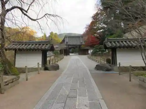 長谷寺の山門・神門
