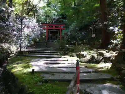 岡寺(龍蓋寺)(奈良県)