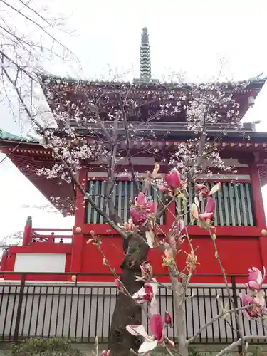 孝道山の御朱印