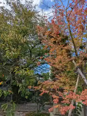 報恩寺(京都府)
