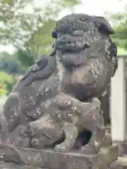 （芝生）浅間神社の狛犬