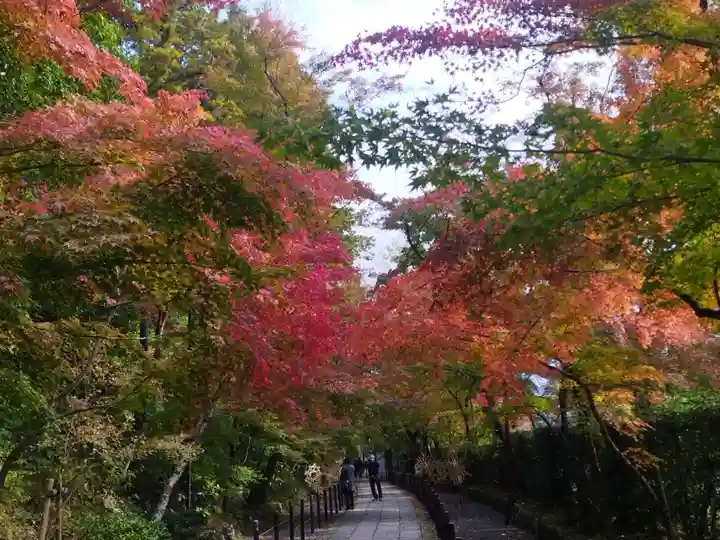 光明寺(粟生光明寺)(京都府)