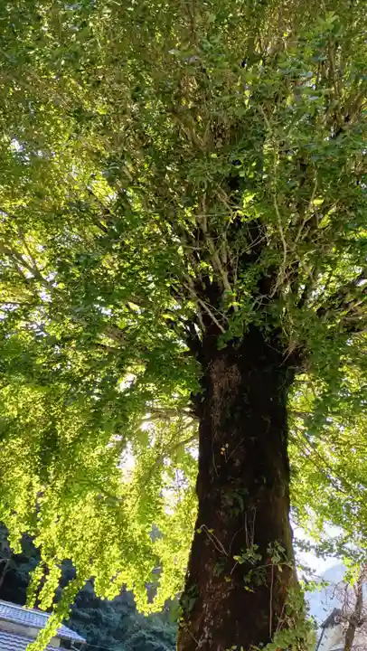 光徳寺(滋賀県)
