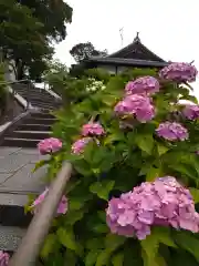 柳谷観音　楊谷寺(京都府)