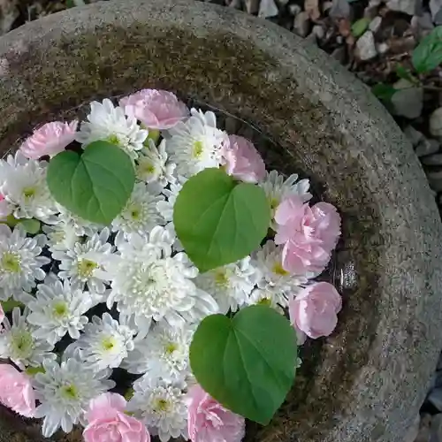 帯廣神社の手水