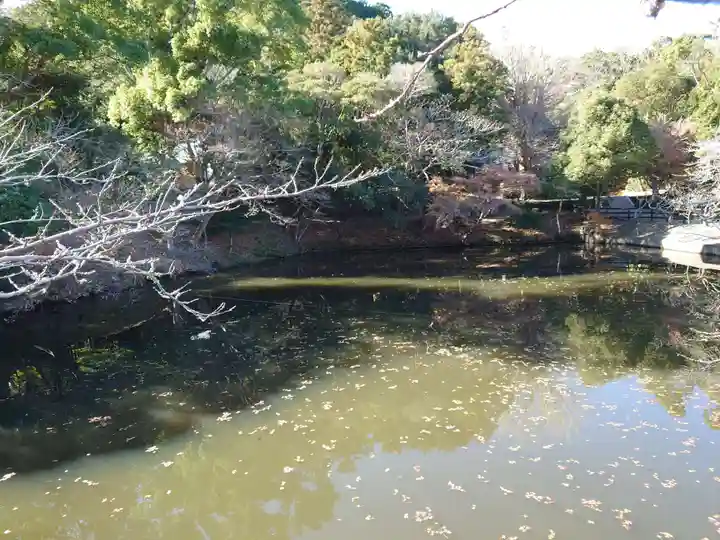 安房神社(千葉県)