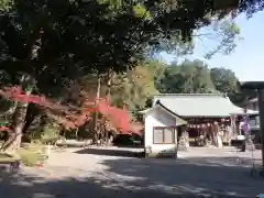 龍尾神社の本殿