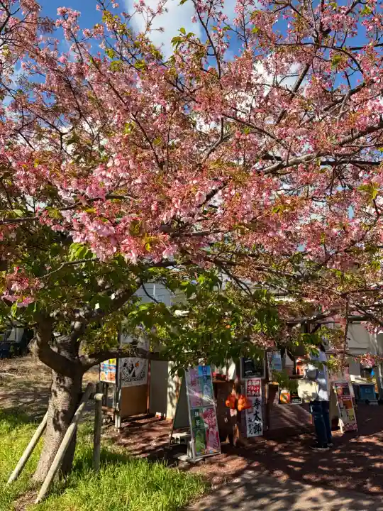 川津来宮神社の{uncategorized: "未分類", other: "その他", undefined: "問題あり", building: "その他建物", grave: "お墓", sacred_gate: "鳥居", guardian: "狛犬", statue: "像", buddha: "仏像", history: "歴史", nature: "自然", garden: "庭園", animal: "動物", pagoda: "塔", temizu: "手水舎", mountain_gate: "山門・神門", sanctuary: "本殿・本堂", subordinate: "末社・摂社", art: "芸術", scenery: "景色", jizo: "地蔵", ema: "絵馬", goshuin: "御朱印", omikuji: "おみくじ", items: "授与品その他", amulet: "お守り", goshuincho: "御朱印帳", eats: "食事", festival: "お祭り", votive_dance: "神楽", shichigosan: "七五三参", wedding: "結婚式", experience: "体験その他", initially: "初詣", around: "周辺", anti_infection: "感染症対策"}
