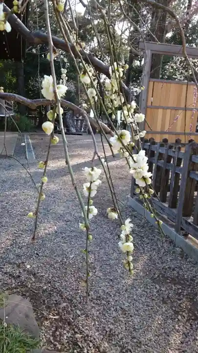 布多天神社(東京都)