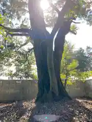 小宅神社の建物その他