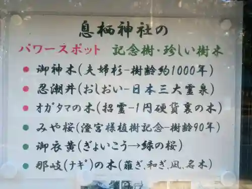 息栖神社の{uncategorized: "未分類", other: "その他", undefined: "問題あり", building: "その他建物", grave: "お墓", sacred_gate: "鳥居", guardian: "狛犬", statue: "像", buddha: "仏像", history: "歴史", nature: "自然", garden: "庭園", animal: "動物", pagoda: "塔", temizu: "手水舎", mountain_gate: "山門・神門", sanctuary: "本殿・本堂", subordinate: "末社・摂社", art: "芸術", scenery: "景色", jizo: "地蔵", ema: "絵馬", goshuin: "御朱印", omikuji: "おみくじ", items: "授与品その他", amulet: "お守り", goshuincho: "御朱印帳", eats: "食事", festival: "お祭り", votive_dance: "神楽", shichigosan: "七五三参", wedding: "結婚式", experience: "体験その他", initially: "初詣", around: "周辺", anti_infection: "感染症対策"}