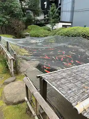 光専寺(東京都)