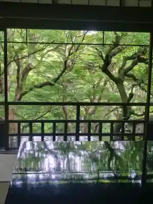 光明寺瑠璃光院(京都府)