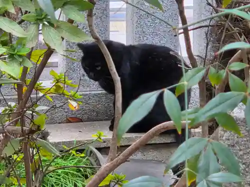 一宮神社(兵庫県)