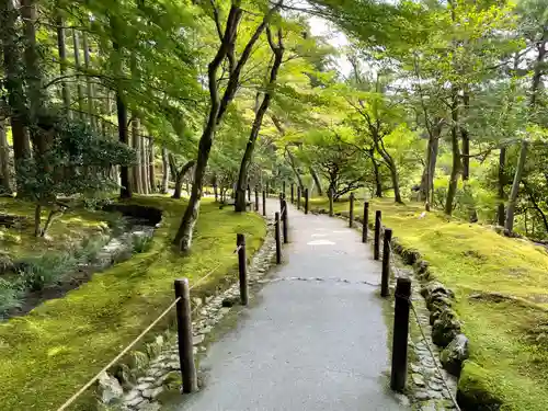 慈照寺（慈照禅寺・銀閣寺）(京都府)