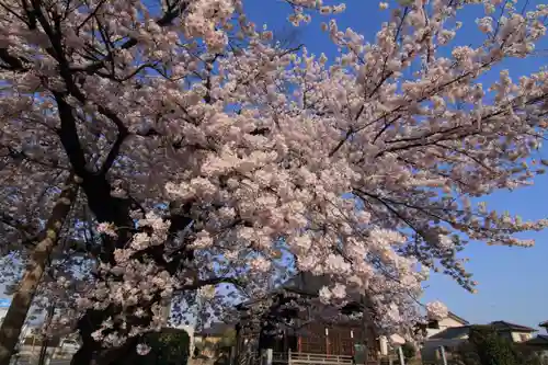 静御前堂の自然