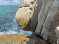 西濱神社の{uncategorized: "未分類", other: "その他", undefined: "問題あり", building: "その他建物", grave: "お墓", sacred_gate: "鳥居", guardian: "狛犬", statue: "像", buddha: "仏像", history: "歴史", nature: "自然", garden: "庭園", animal: "動物", pagoda: "塔", temizu: "手水舎", mountain_gate: "山門・神門", sanctuary: "本殿・本堂", subordinate: "末社・摂社", art: "芸術", scenery: "景色", jizo: "地蔵", ema: "絵馬", goshuin: "御朱印", omikuji: "おみくじ", items: "授与品その他", amulet: "お守り", goshuincho: "御朱印帳", eats: "食事", festival: "お祭り", votive_dance: "神楽", shichigosan: "七五三参", wedding: "結婚式", experience: "体験その他", initially: "初詣", around: "周辺", anti_infection: "感染症対策"}