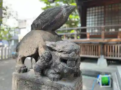 北海道神宮頓宮の狛犬