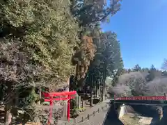 須山浅間神社(静岡県)