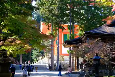 壇上伽藍(和歌山県)