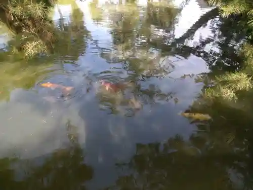 備中国總社(岡山県)