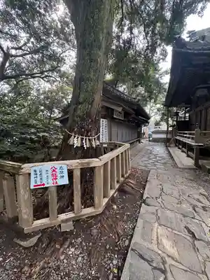 八大龍神社(愛知県)