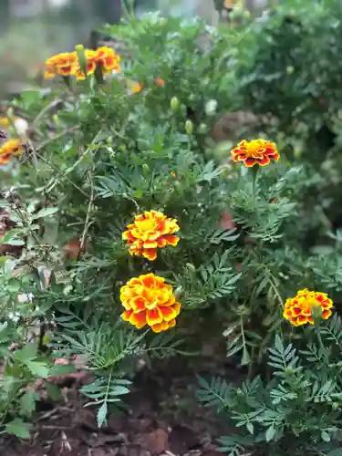 木舟山　順教寺の自然