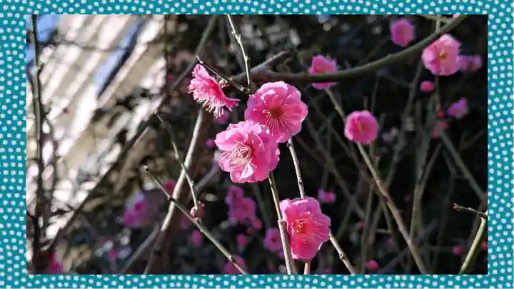 小野照崎神社(東京都)
