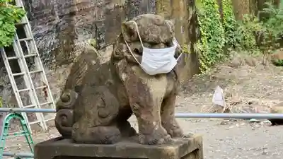 諏訪神社の狛犬