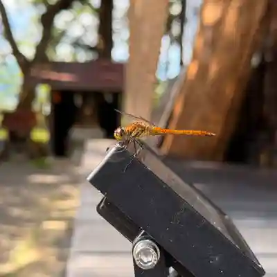 高司神社〜むすびの神の鎮まる社〜(福島県)