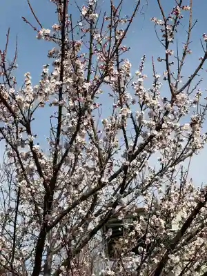 女体神社の{uncategorized: "未分類", other: "その他", undefined: "問題あり", building: "その他建物", grave: "お墓", sacred_gate: "鳥居", guardian: "狛犬", statue: "像", buddha: "仏像", history: "歴史", nature: "自然", garden: "庭園", animal: "動物", pagoda: "塔", temizu: "手水舎", mountain_gate: "山門・神門", sanctuary: "本殿・本堂", subordinate: "末社・摂社", art: "芸術", scenery: "景色", jizo: "地蔵", ema: "絵馬", goshuin: "御朱印", omikuji: "おみくじ", items: "授与品その他", amulet: "お守り", goshuincho: "御朱印帳", eats: "食事", festival: "お祭り", votive_dance: "神楽", shichigosan: "七五三参", wedding: "結婚式", experience: "体験その他", initially: "初詣", around: "周辺", anti_infection: "感染症対策"}