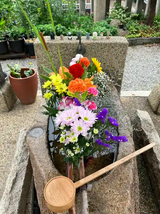 水堂須佐男神社(兵庫県)