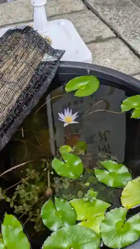 行願寺（革堂）(京都府)