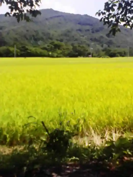 高司神社〜むすびの神の鎮まる社〜の周辺