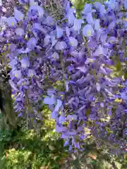 玉敷神社の自然