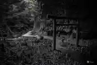 天岩戸神社(宮崎県)