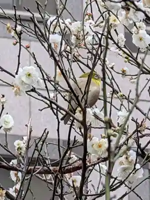 銀世界稲荷神社(東京都)