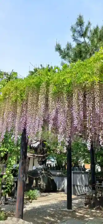 葛井寺(大阪府)