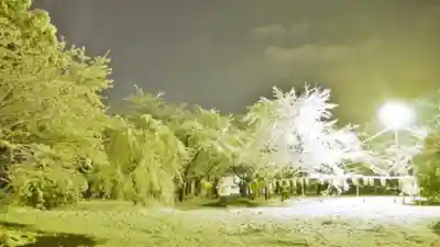 平野神社のその他建物