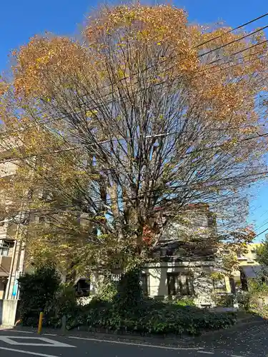 小野神社の自然