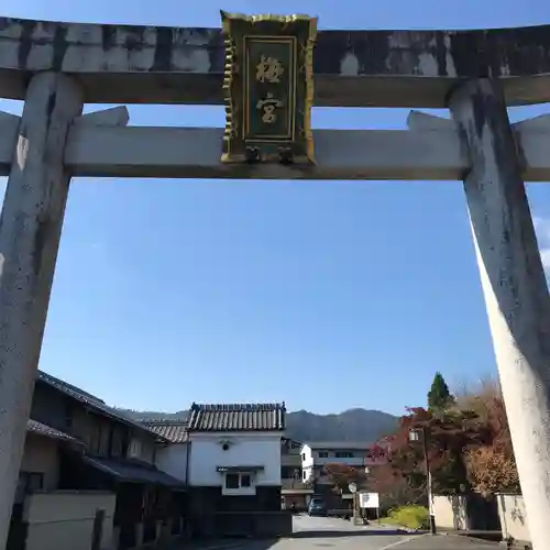 梅宮大社の鳥居