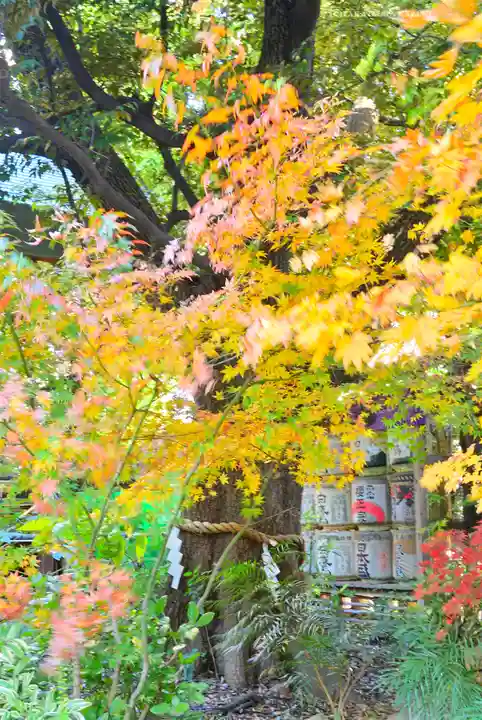 東京大神宮(東京都)