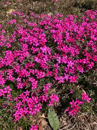 境香取神社の自然