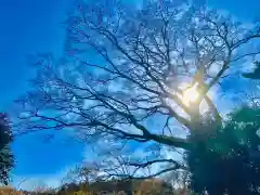 鹿嶋神社(茨城県)